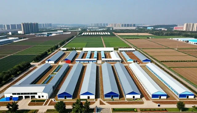 业务合作中的常见问题及解决建议